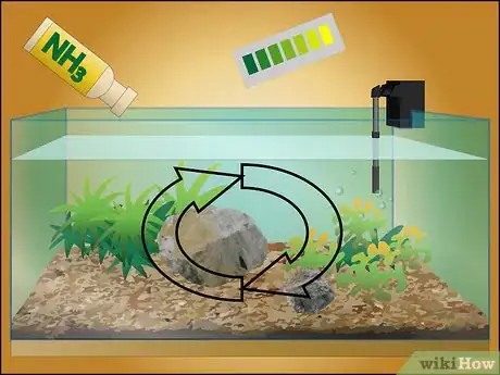 Image intitulée Take Care of Your Fish (Tanks) Step 5