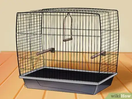 Image intitulée Care for a Lovebird Step 3