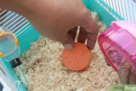 Image intitulée Care for a Hamster Step 30