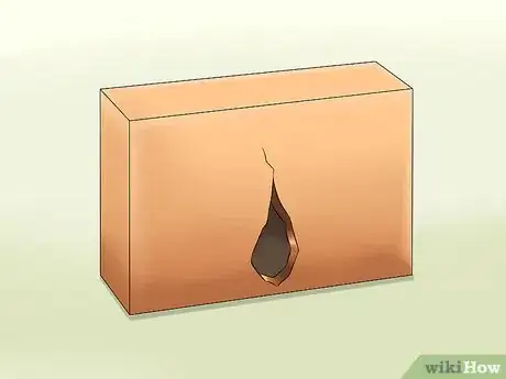 Image intitulée Catch a Lizard Without Using Your Hands Step 13
