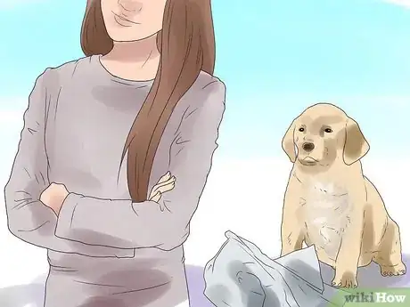 Image intitulée Bond With Your Dog Step 12