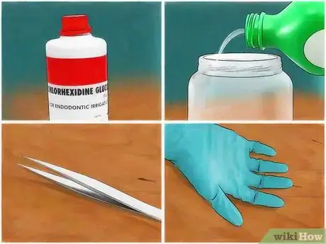 Image intitulée Get Ticks off Dogs Step 2