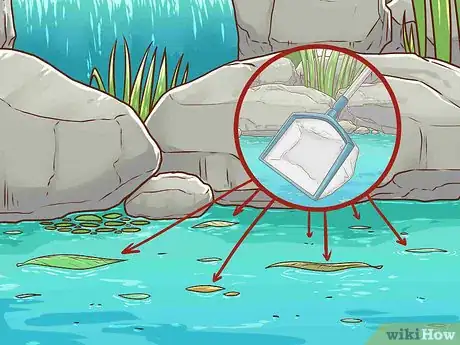 Image intitulée Clean a Koi Pond Step 7