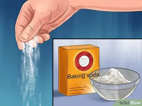Image intitulée Get Rid of Dog Urine Smell Step 3
