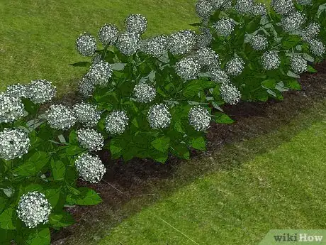 Image intitulée Fix Poor Soil Drainage Step 10