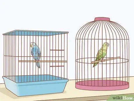 Image intitulée Treat Diarrhea in Parakeets Step 1