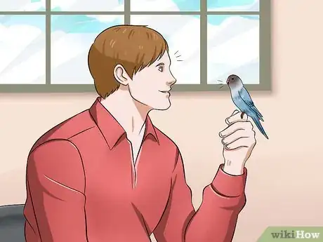Image intitulée Teach Your Budgie to Talk Step 7