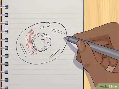 Image intitulée Draw an Animal Cell Step 7