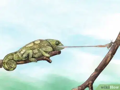 Image intitulée Feed Crickets to Reptiles Step 4
