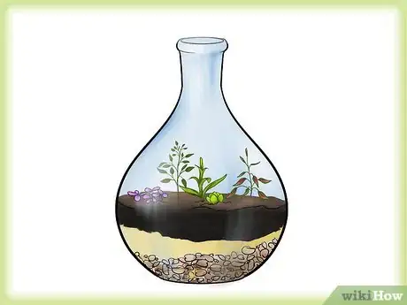 Image intitulée Grow a Garden in a Bottle Step 5
