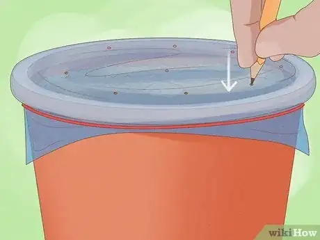 Image intitulée Plant a Lemon Seed Step 8