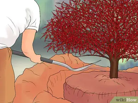 Image intitulée Prune Japanese Maple Trees Step 17