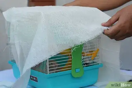 Image intitulée Care for a Hamster Step 14