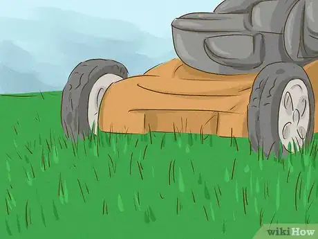Image intitulée Kill Bermuda Grass Step 14