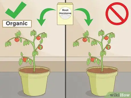 Image intitulée Clone Plants Step 3