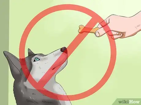 Image intitulée Get Your Dog to Eat Dry Food Step 9