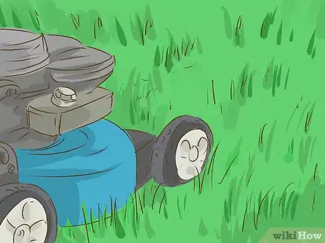 Image intitulée Kill Bermuda Grass Step 10