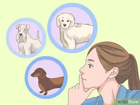Image intitulée Detect Diabetes in Dogs Step 3
