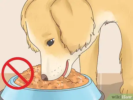 Image intitulée Keep Dogs Warm in the Winter Step 4