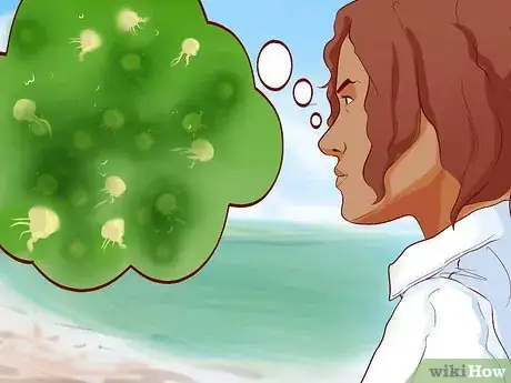 Image intitulée Avoid Getting Stung by Jellyfish Step 2