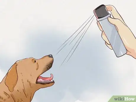 Image intitulée Protect Yourself from Dogs While Walking Step 5