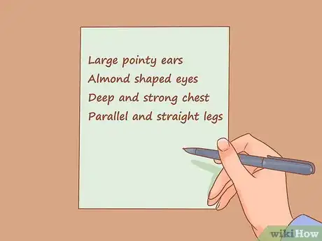 Image intitulée Determine Your Dog's Breed Step 7