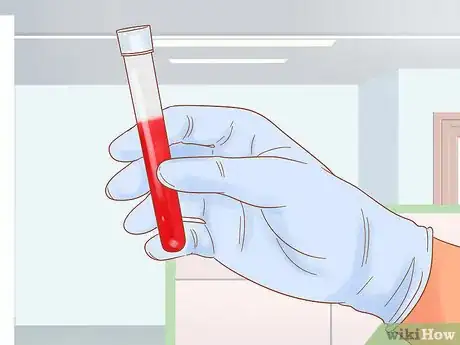 Image intitulée Determine Your Dog's Breed Step 4
