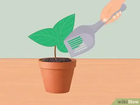 Image intitulée Measure Growth Rate of Plants Step 13
