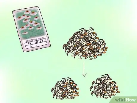 Image intitulée Plant Wildflowers Step 8Bullet1