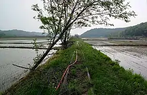 Between rice fields in Yacheon-ri, Hwaseong.mw-parser-output .geo-default,.mw-parser-output .geo-dms,.mw-parser-output .geo-dec{display:inline}.mw-parser-output .geo-nondefault,.mw-parser-output .geo-multi-punct{display:none}.mw-parser-output .longitude,.mw-parser-output .latitude{white-space:nowrap}37°14′49″N 126°55′14″E﻿ / ﻿37.24694°N 126.92056°E﻿ / 37.24694; 126.92056