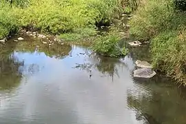 Charco El Cantil