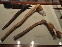 Adzes, Marshall and Yap Islands - Pacific collection - Peabody Museum, Harvard University - DSC05732