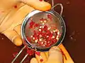 Gloved hands clean seeds from pulp
