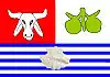 Flag of Conde