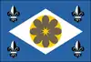 Flag of Ibirataia