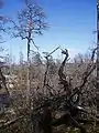 Six years after the fire