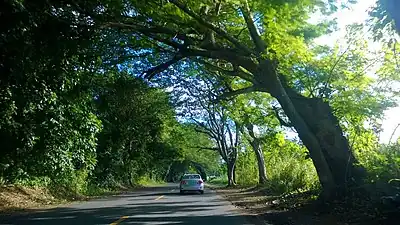 Puerto Rico Highway 165 in Río Lajas barrio