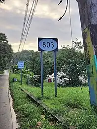 Puerto Rico Highway 803 southbound in Palmarejo, Corozal