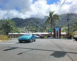 Puerto Rico Highway 825 in Achiote