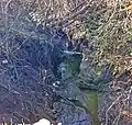 Concretization of Matadero Creek's banks (in back of shot) accelerates stream flows, causing severe channel incision which is now threatening Page Mill Road below the Arastradero Road intersection Jan. 2011