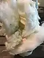 Cotton candy