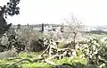 Dayr Aban on the Background of Beit Shemesh