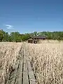 Delta Marsh Field Station