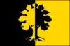 Flag of Dubí