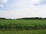 Farmland in Lysander