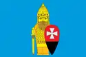 Flag of Voronovskoye