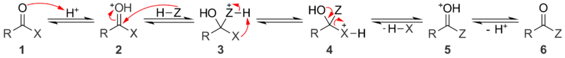 A general mechanism for acid catalyzed nucleophilic acyl substitution