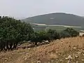 View from Bersabe in Galilee