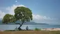 Gili Trawangan