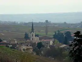 The church and surrounding buildings in Le Perréon